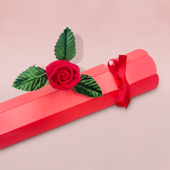 Baby's First Christmas Rosebud Sock Cracker, Red